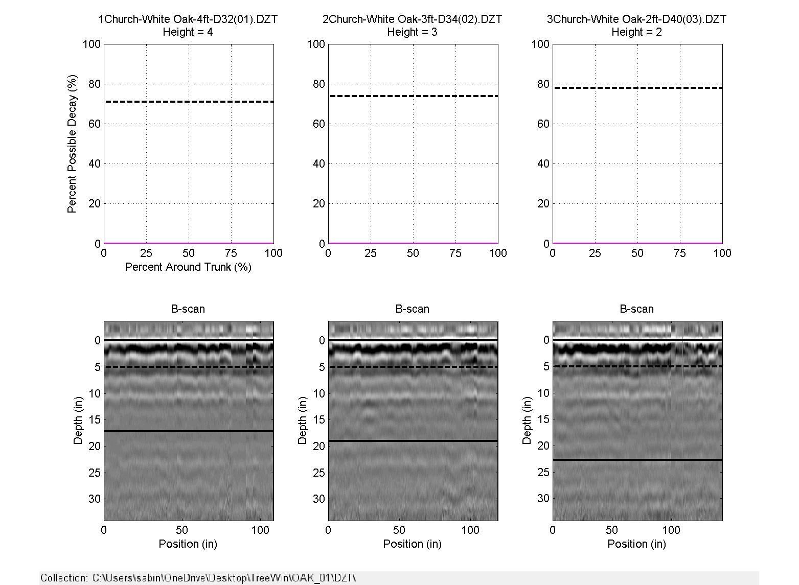 Multiple Trunk Scan Results
