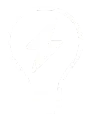 Bulb icon