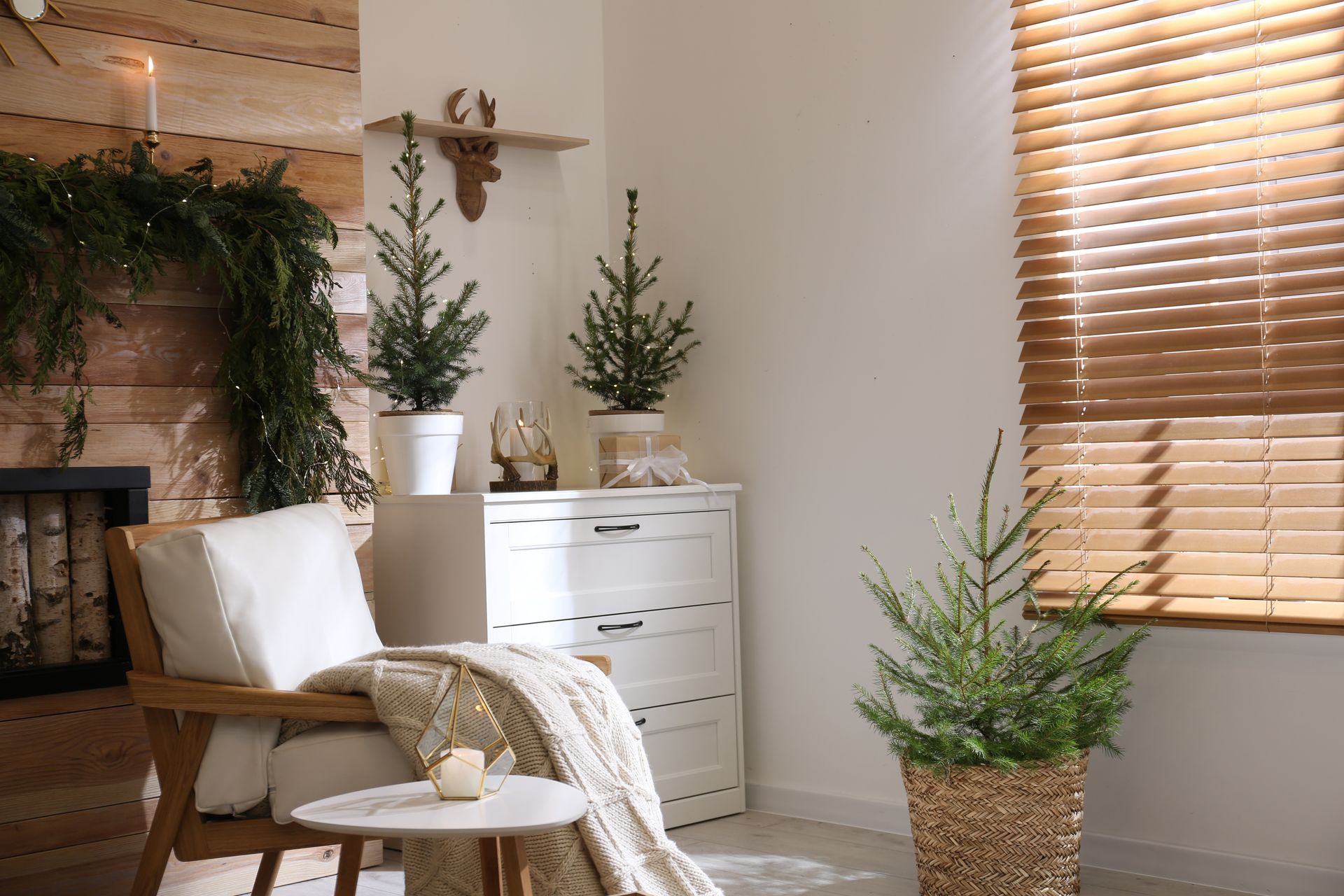 Cozy living room corner with lounge chair, white dresser, potted plants, and woven blinds in soft neutral tones