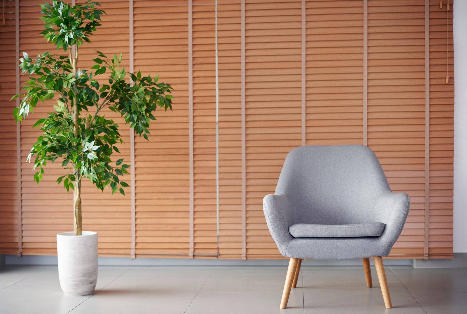Gray chair beside potted tree in a bright room with wooden blinds