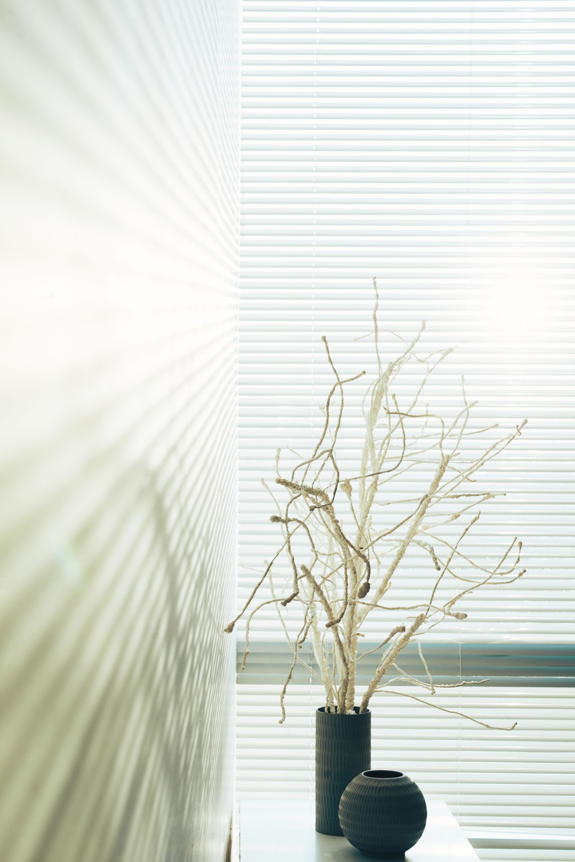 Minimal vase with bare branches and a black bowl on a bright windowsill, with blinds in the background