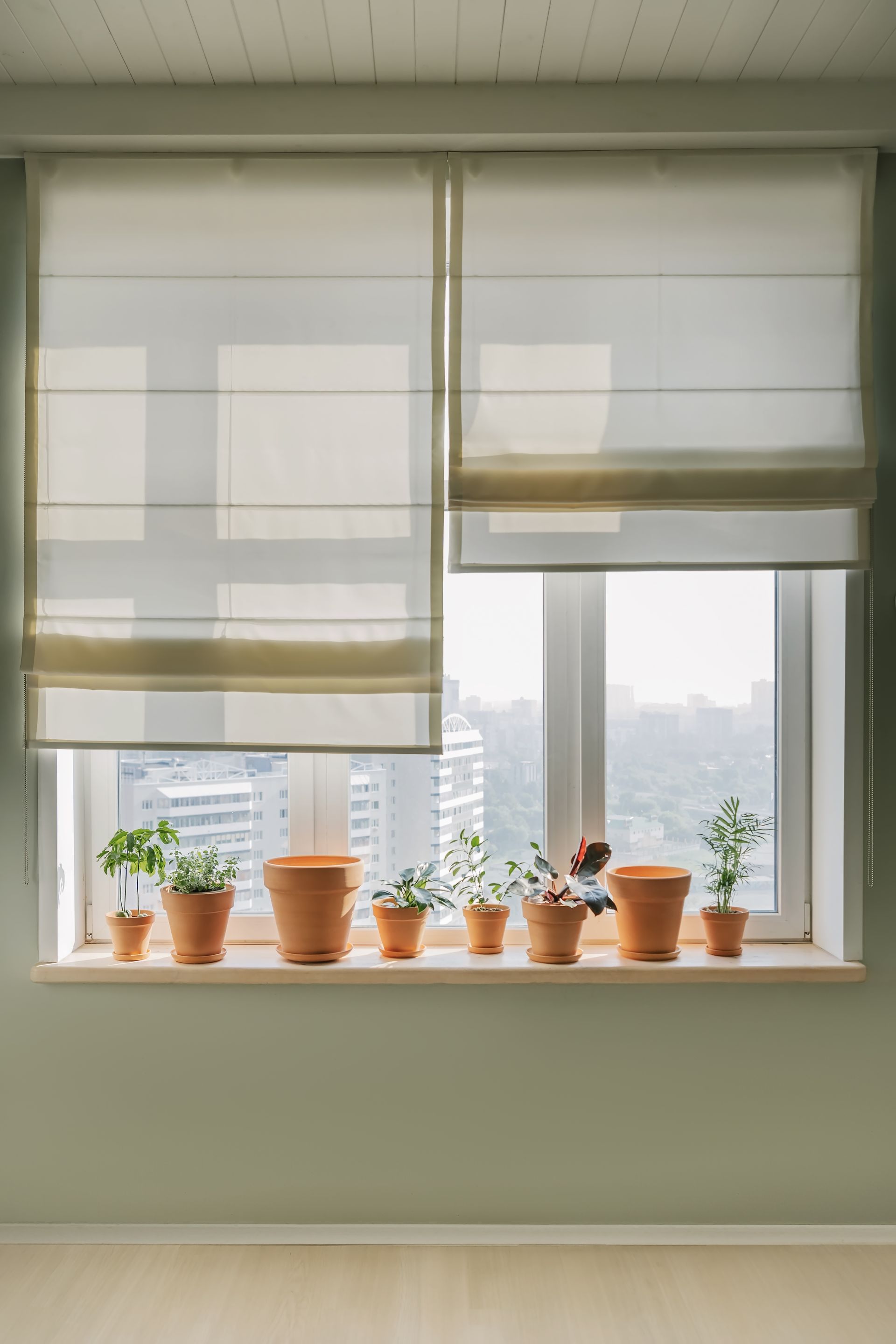 Sheer Roman shades over a window with potted plants on the sill, overlooking a hazy city view Sheer Roman shades over a window with potted plants on the sill, overlooking a hazy city view