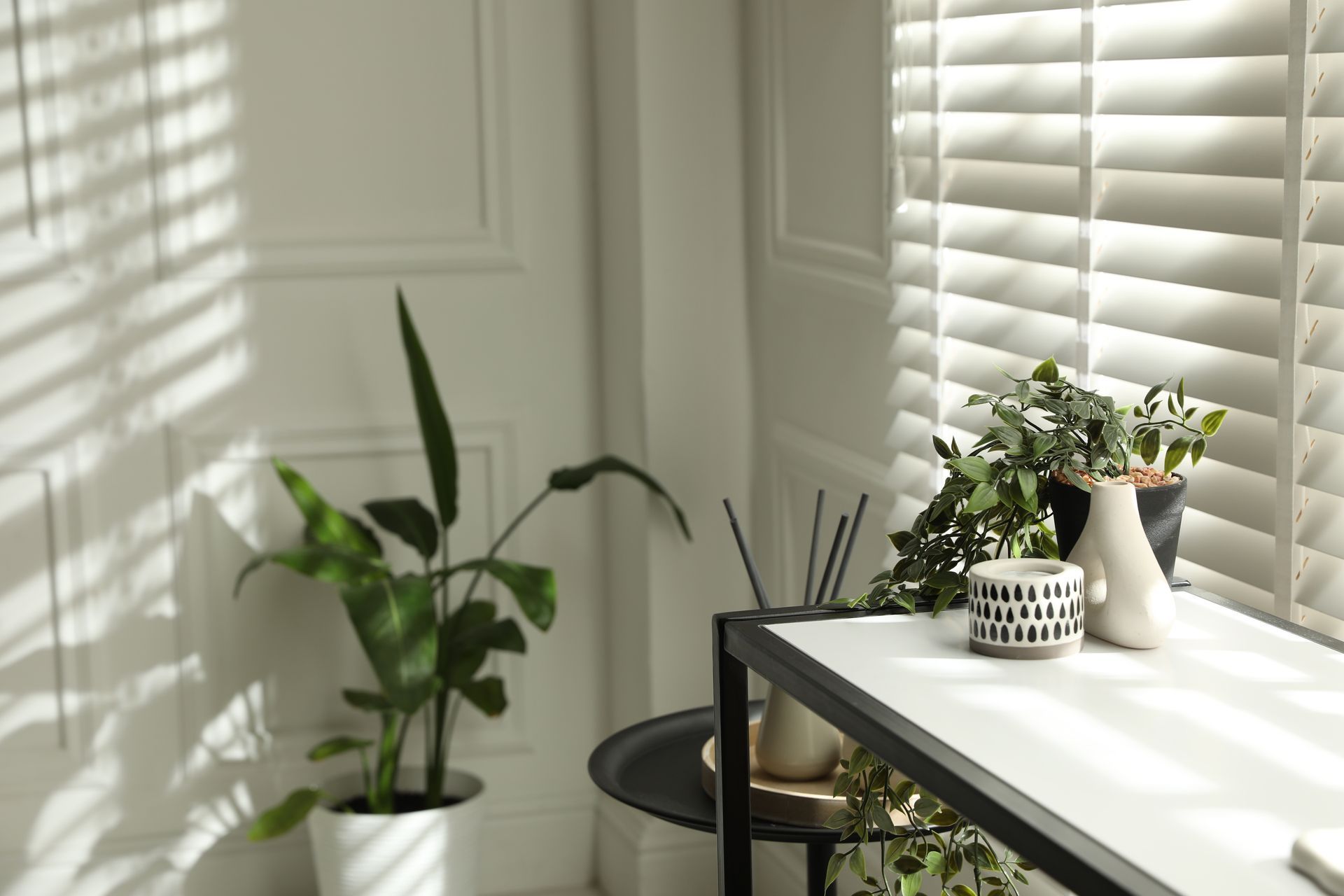 Bright corner with potted plants, a small table, and sunlight casting striped shadows on white walls. Bright corner with potted plants, a small table, and sunlight casting striped shadows on white walls.