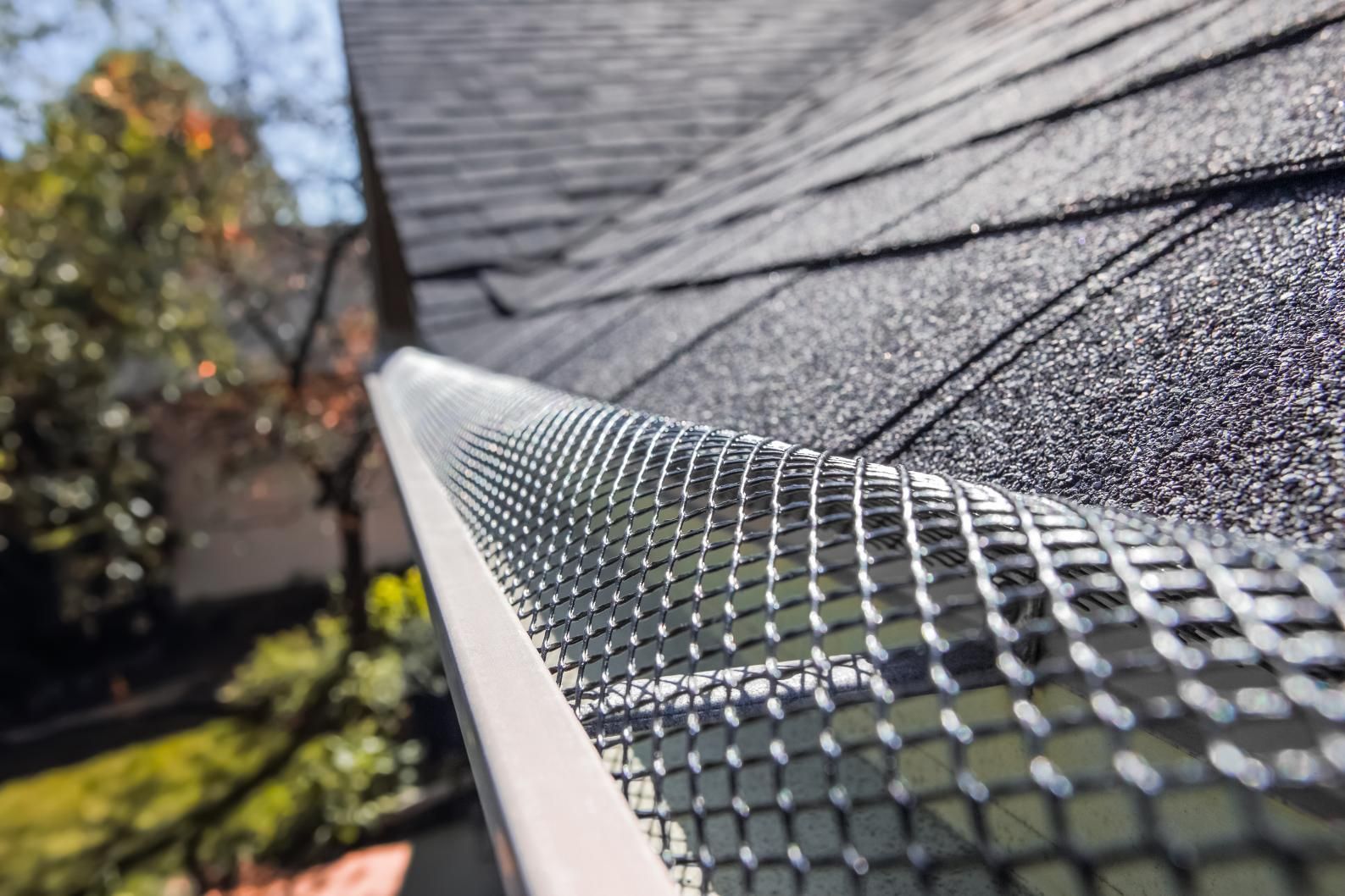 Close-up of a roof edge with metal gutter guard and shingles, with blurred trees in the background
