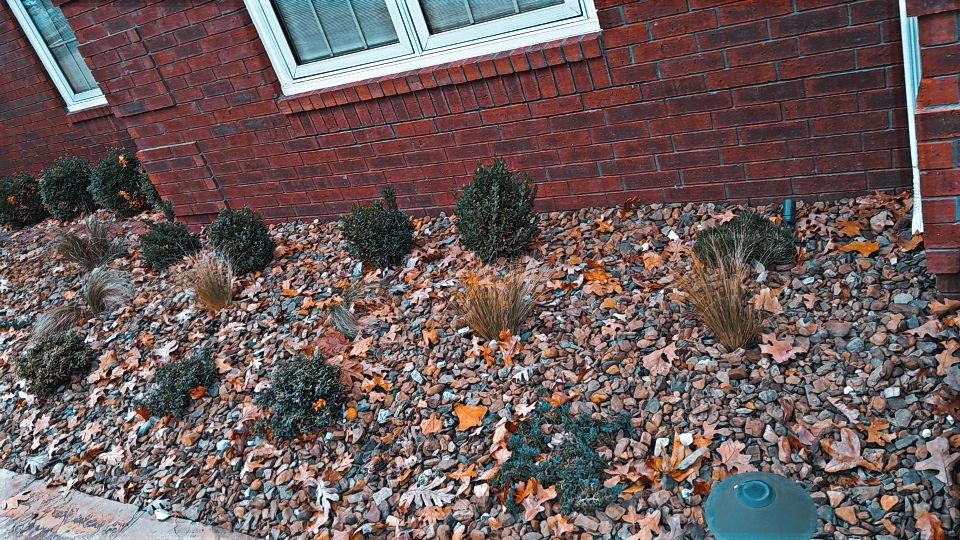 Brick building with a window and a landscaped bed of mulch, shrubbery, and fall leaves.