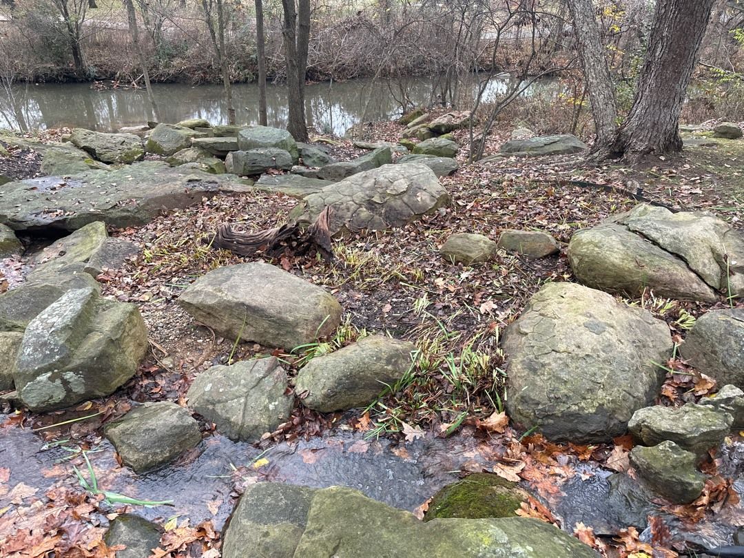 Rocks along a creek bank with fallen leaves, and a wooded background.