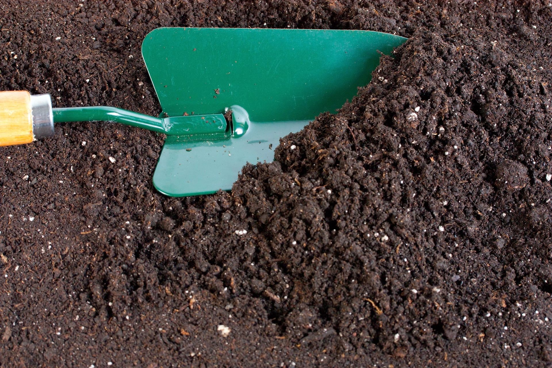 Green trowel in dark soil, ready for gardening.