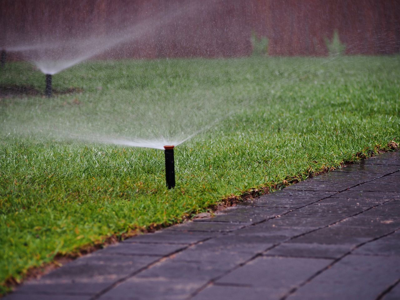 Sprinklers watering green grass next to a dark brick walkway.
