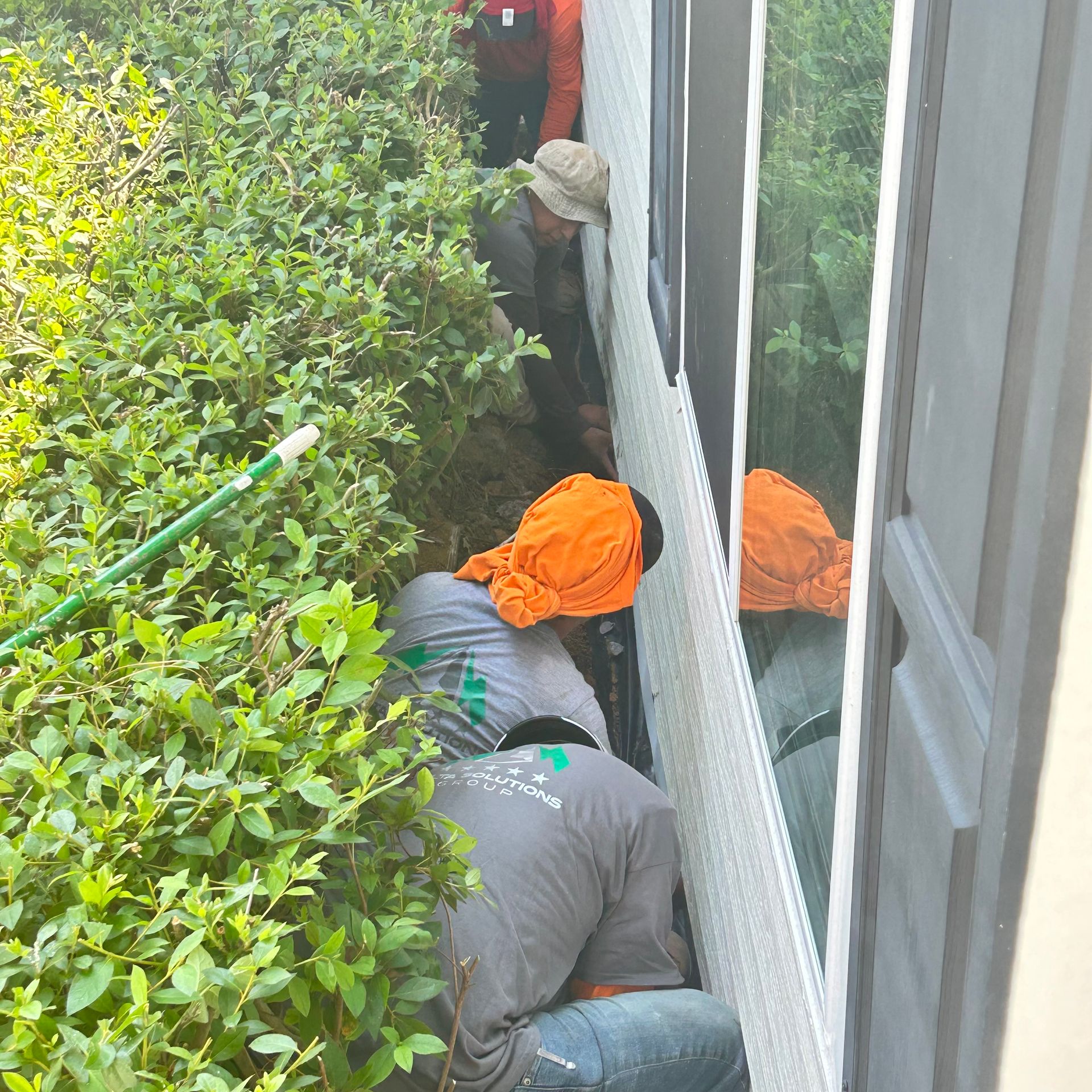 Workers in orange hats and gray shirts crouch in a narrow garden alley beside a house and window.