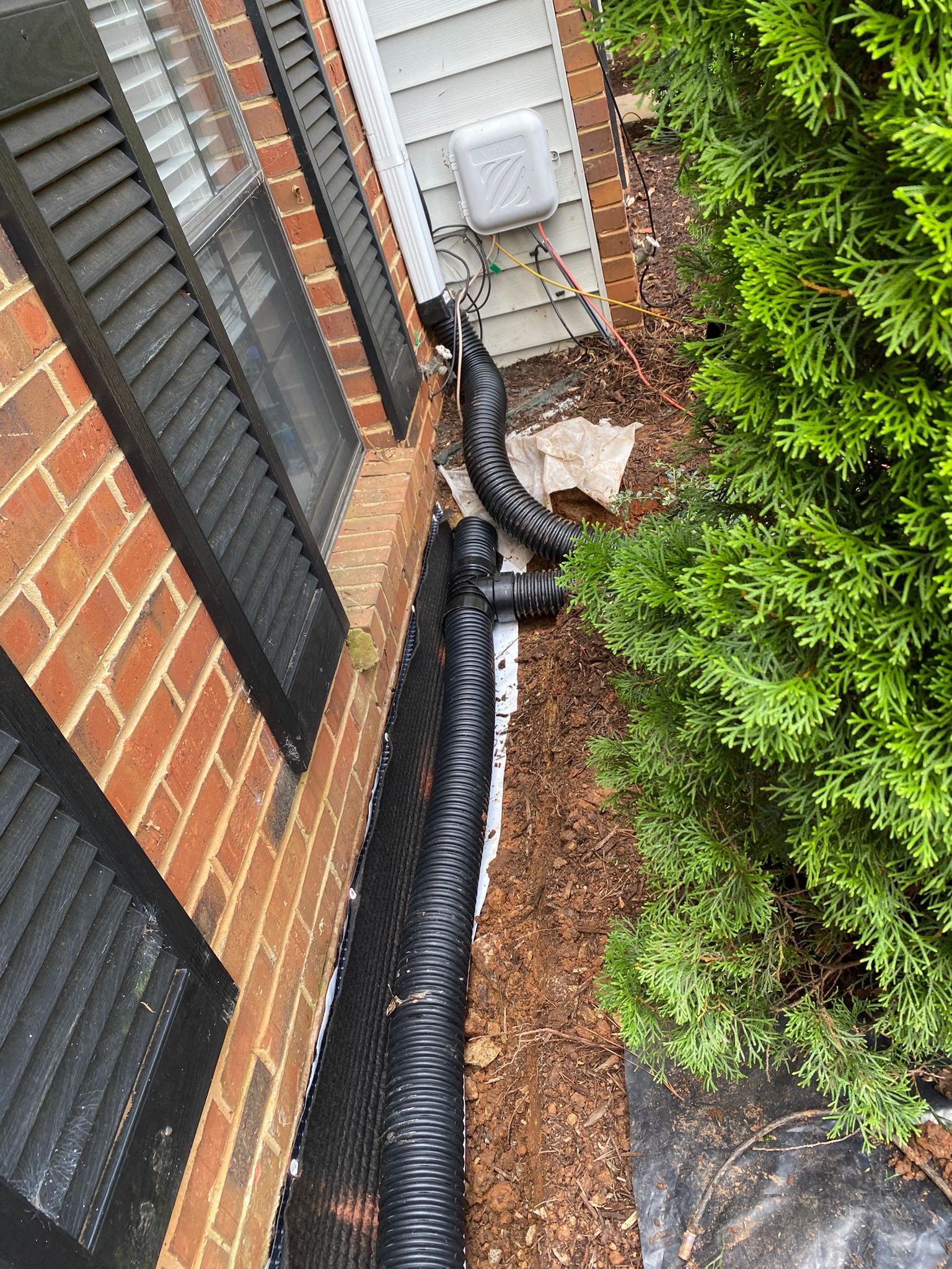 Black drain hose runs along a brick house beside an HVAC unit and shrubs.