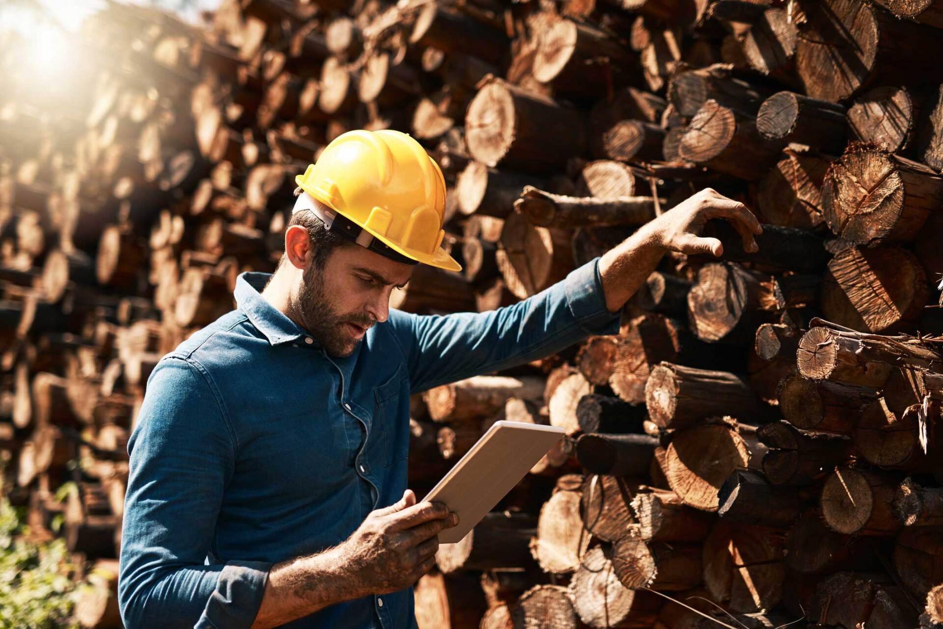 Tracking His Lumber Deliveries — Morehead, KY — Go To Solutions