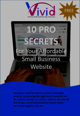 Vivid Pro Secrets