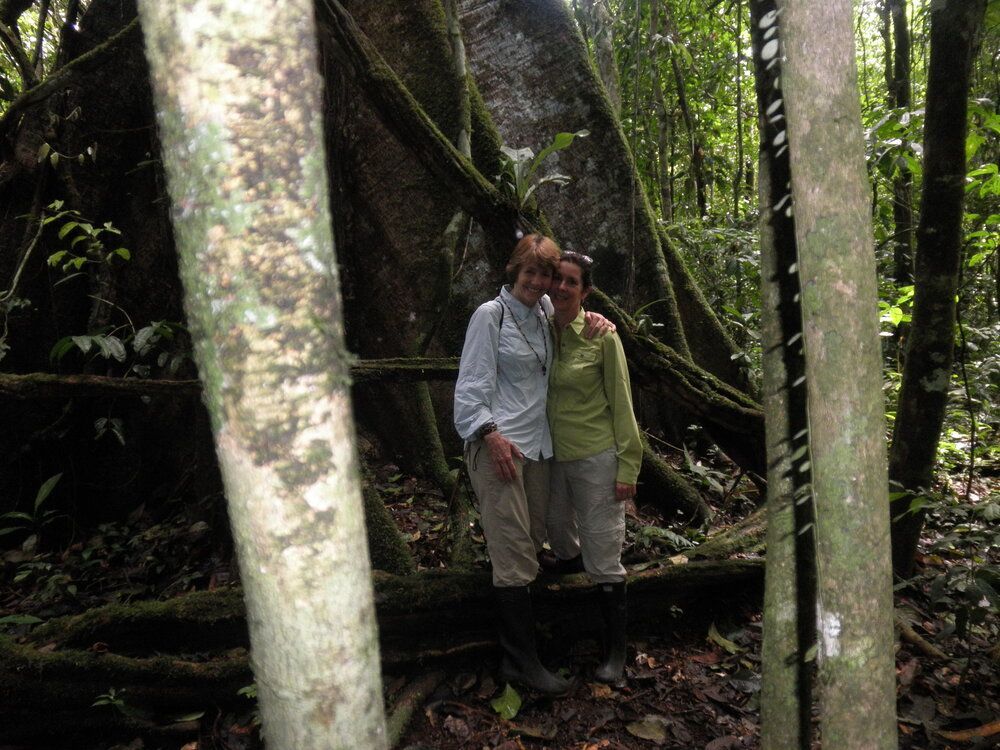 Two people standing together on a forest log bridge among tall trees and mossy roots.