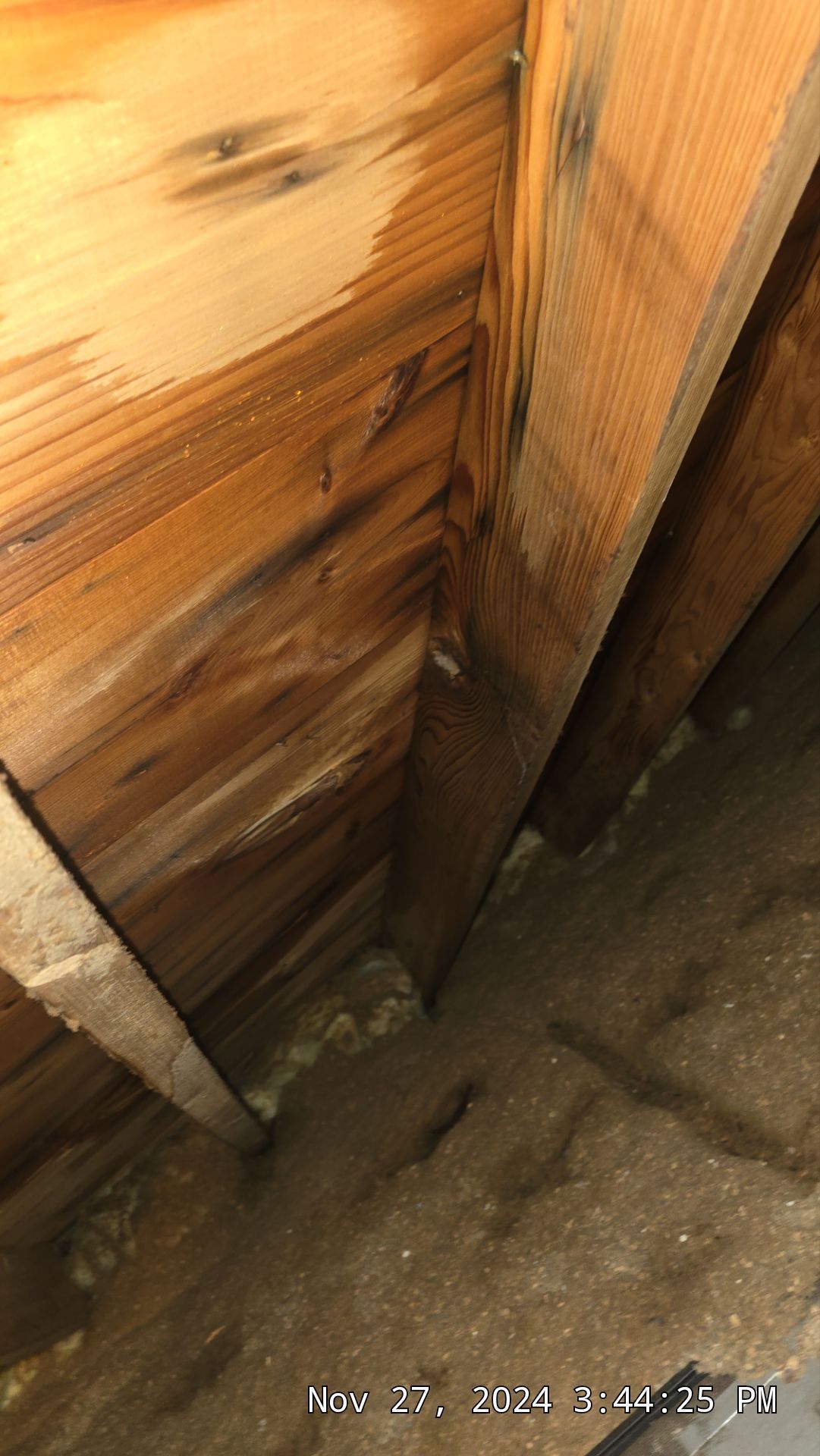 A corner in a crawl space showing dark, moisture-stained wood framing against a dirt floor.