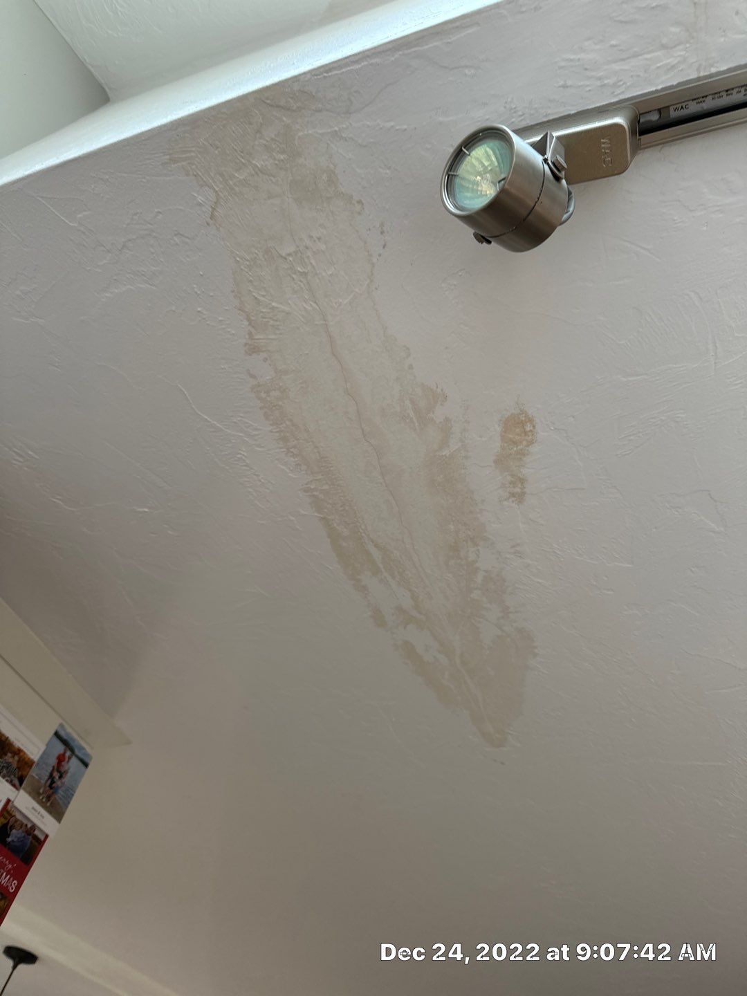 Stained ceiling with a light fixture. Brown stain contrasts with the white surface.