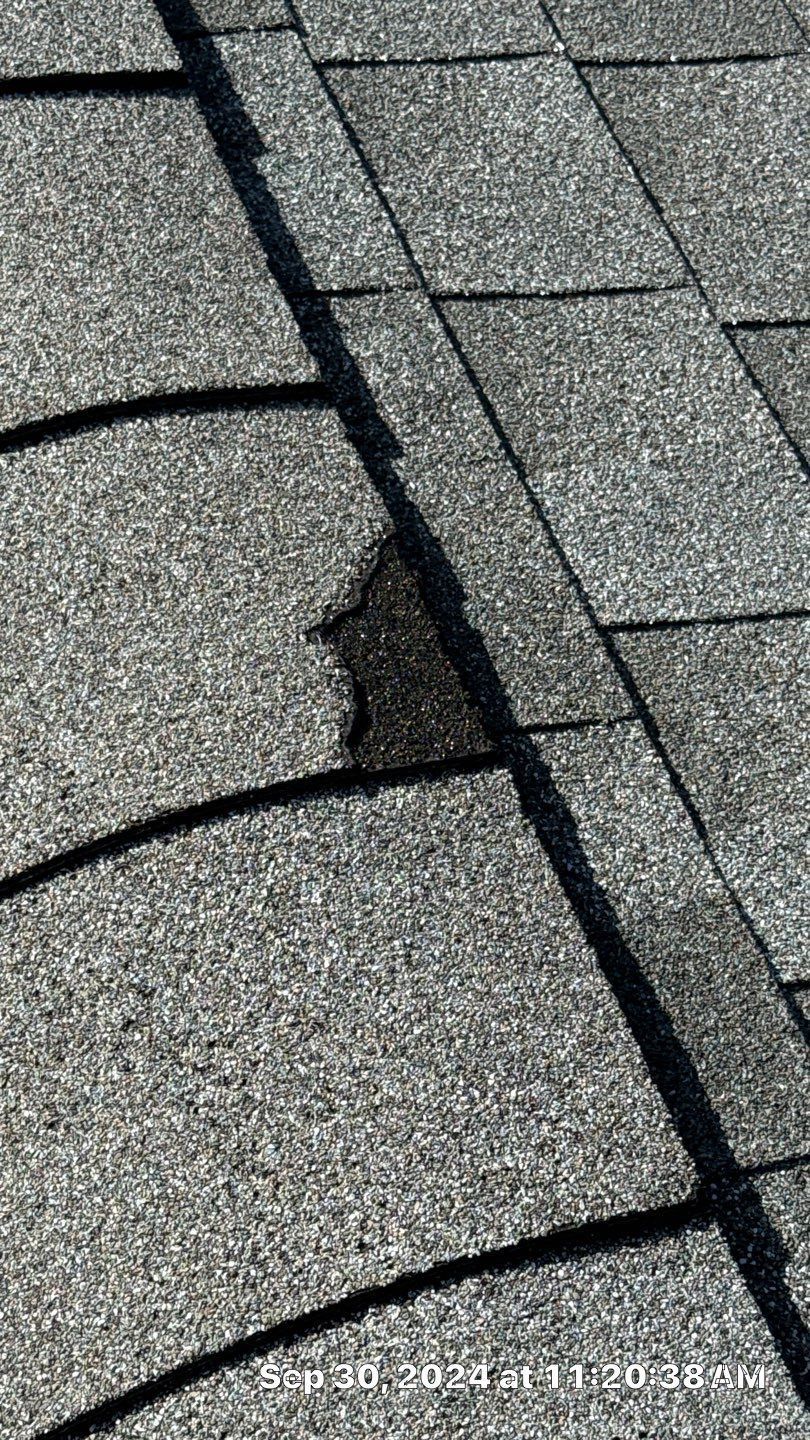 A damaged asphalt roof shingle with a section of the top layer missing, exposing the underlying dark material.