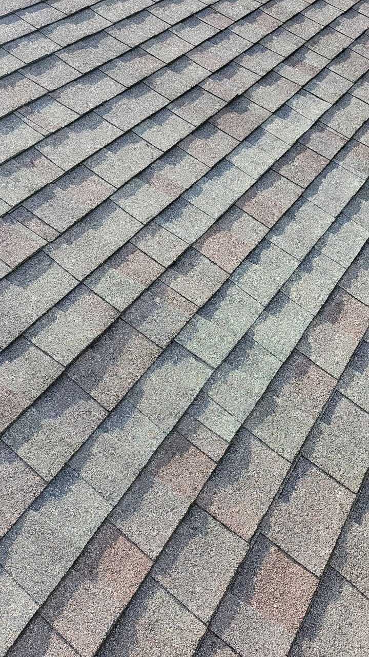 wayland-roof-3