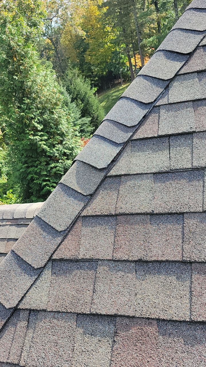 wayland-roof-2