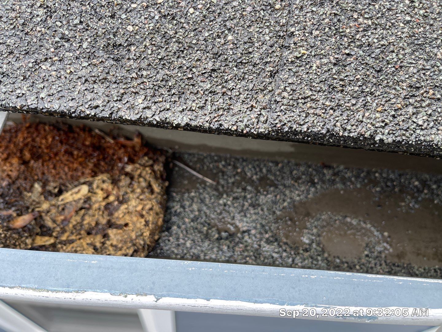 Gutter clogged with debris: brown organic matter and granules, next to wet and granular surface.