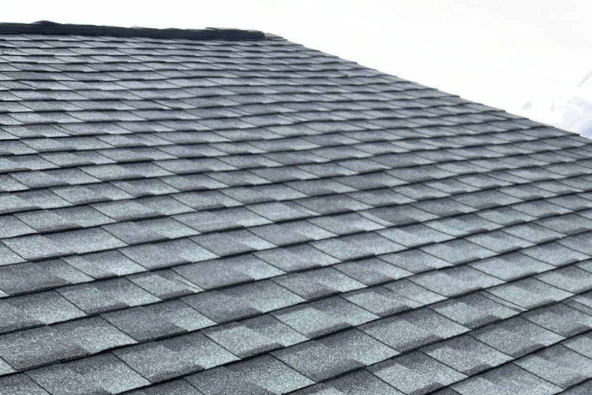 replaced roof by Master Roof