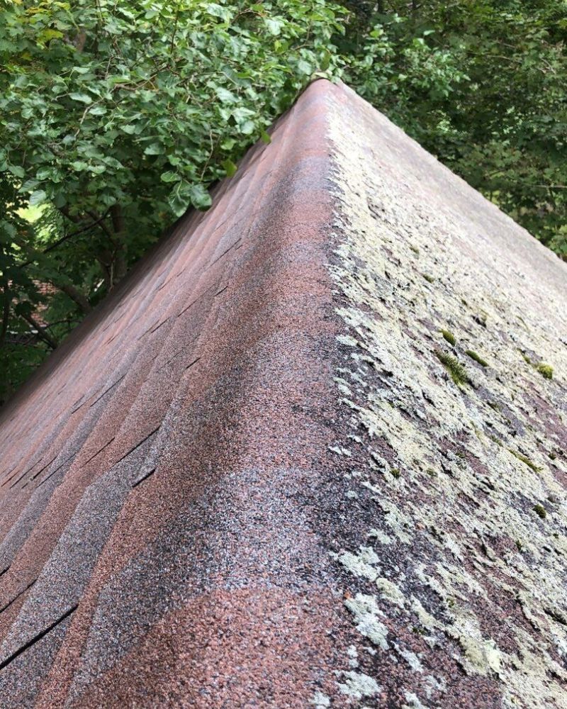 Algae on Roof