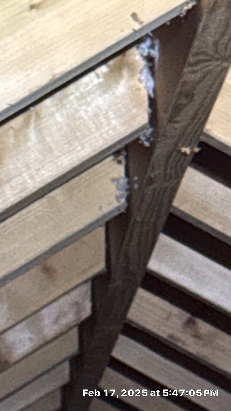 Rafters poorly joined to ridge pole.