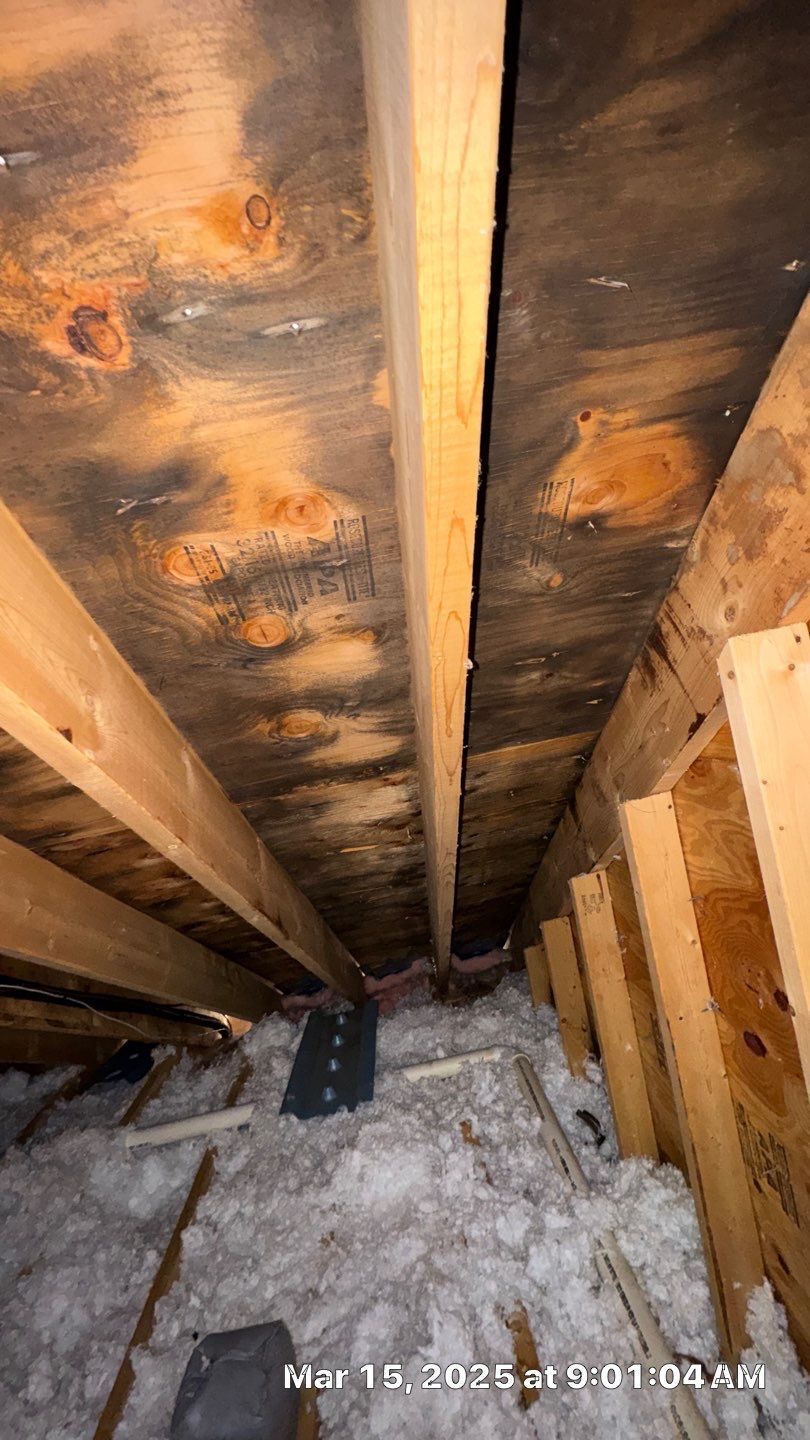 Underside of roof sheathing showing staining.