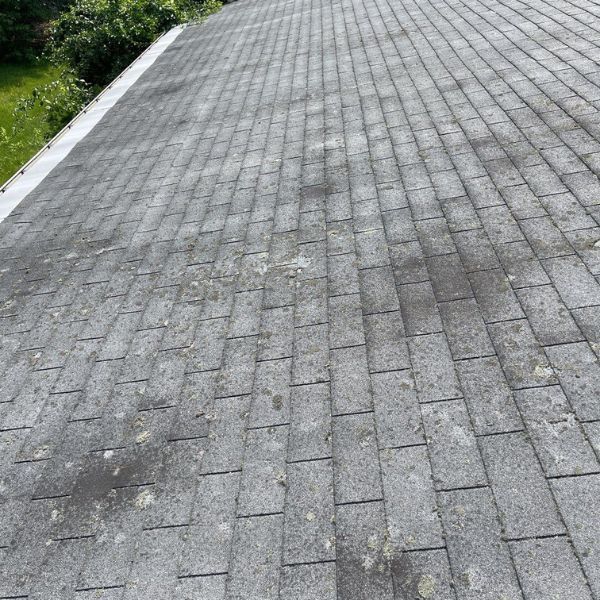 Gray asphalt shingle roof with visible algae and moss growth, viewed from above.