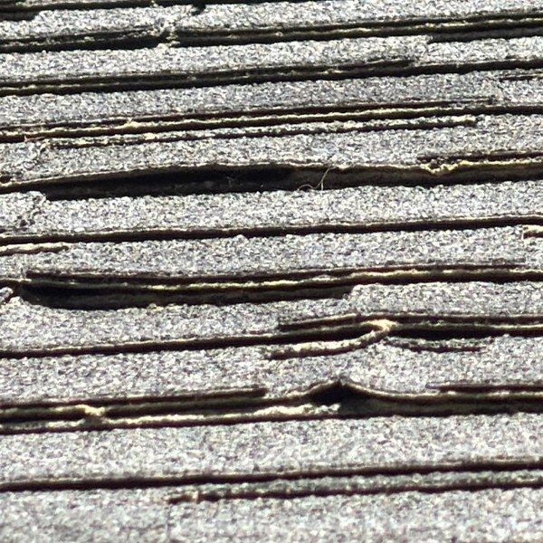 Worn asphalt shingles lifting and losing granules before a roof replacement in Blackstone MA