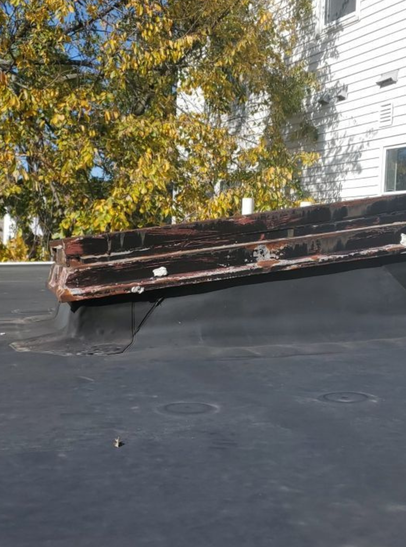 A roof with a drain hole in it and a tree in the background.