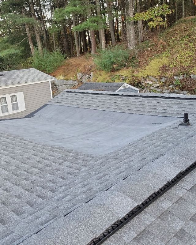 Gray shingle roof with a flat, dark grey section. Trees and small building in the background.