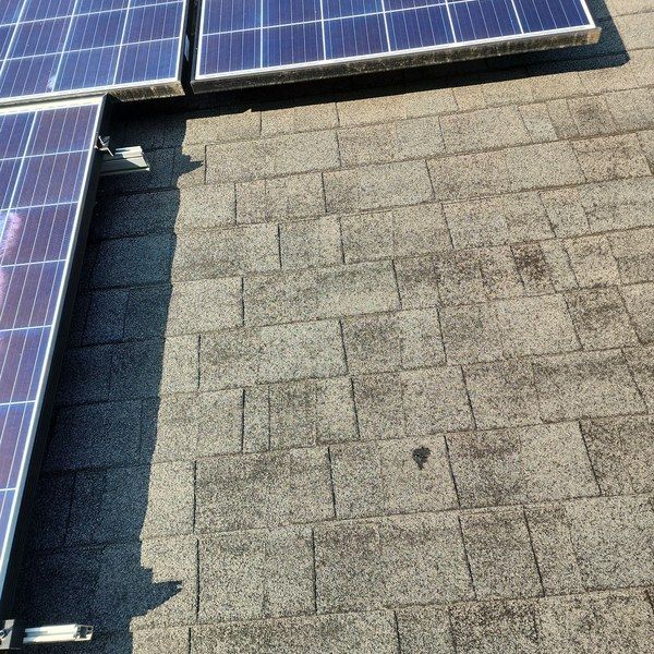 Weathered asphalt shingles with granule loss beside a rooftop solar array in Fitchburg MA