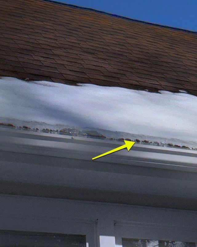 Gutter filled with snow; arrow pointing to the edge of the gutter with visible debris. Brown roof above.