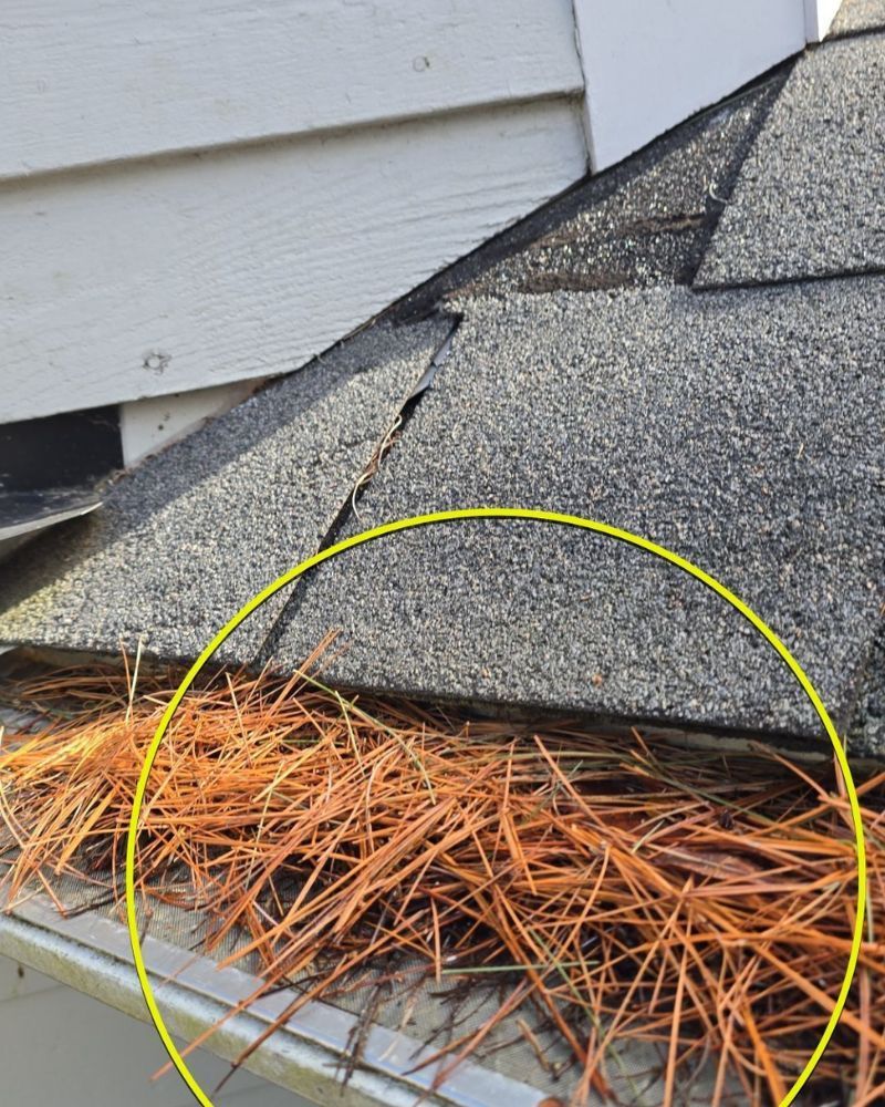 Pine needles in a gutter on a roof, near white siding.