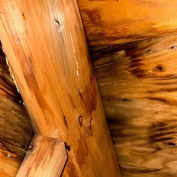 Wooden ceiling with log beam, showing wood grain patterns and variations in color.