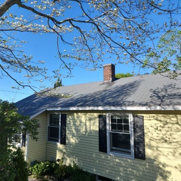 Yellow house with dark shutters, gray roof, and chimney against a blue sky, branches with blossoms in view.