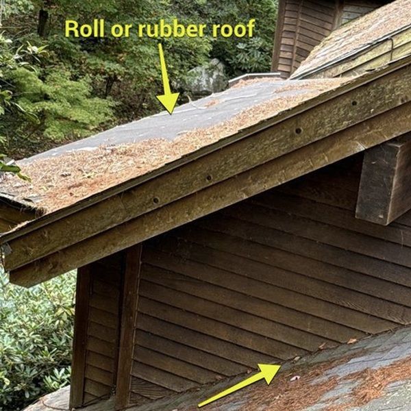 Close-up of a cabin's roof with a roll or rubber roof, covered in debris. Wooden siding below.