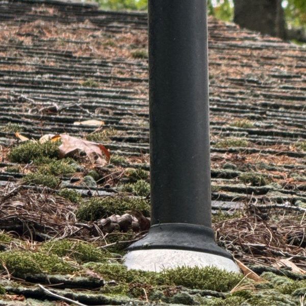 A black plumbing vent pipe stands upright on a weathered, shingle roof covered in patches of moss and fallen pine needles.