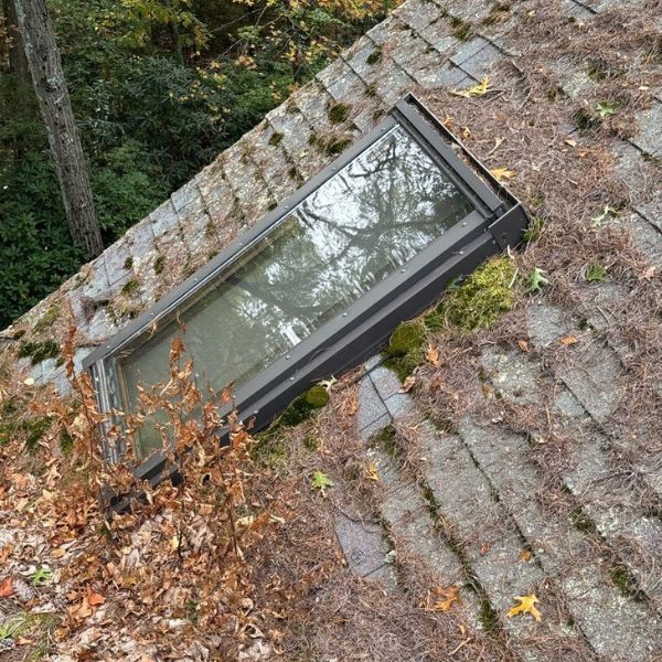 A rectangular skylight installed on a mossy, debris-covered shingled roof surrounded by trees.