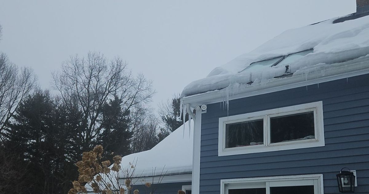 A blue-sided house roof covered in snow, featuring a gutter lined with sharp, hanging icicles under a grey winter sky.
