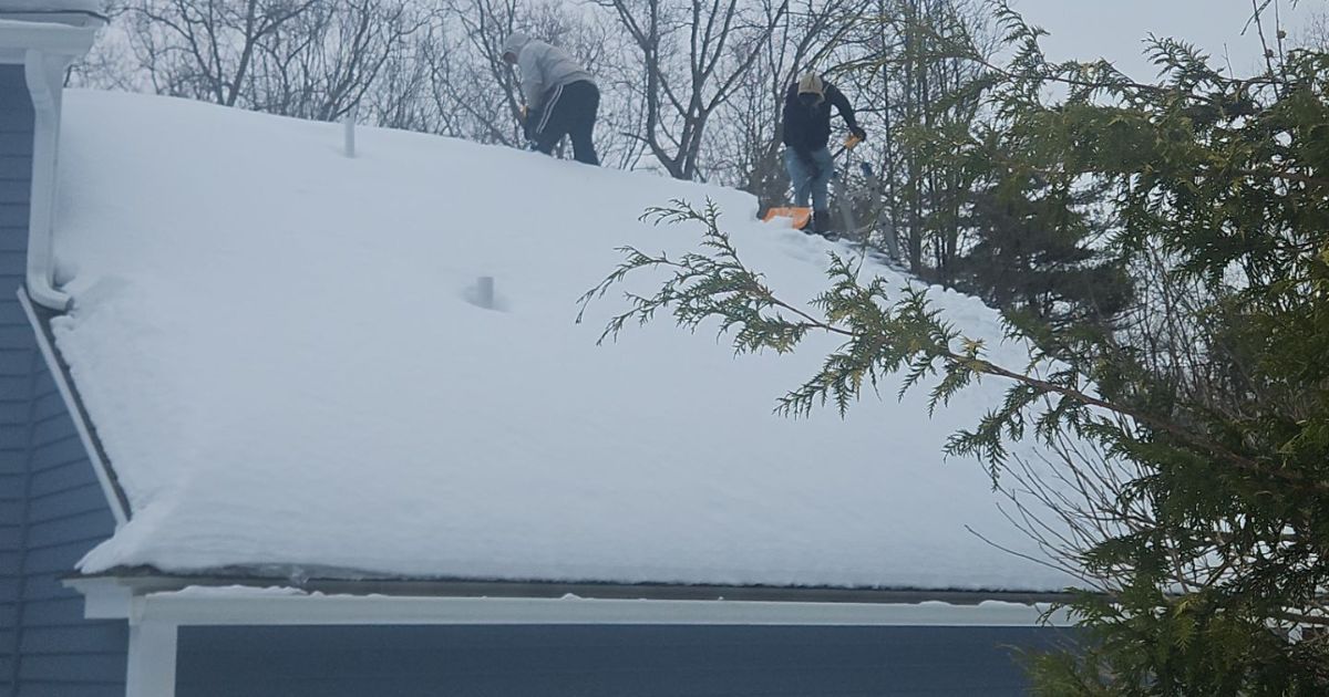 Two people clear snow from a sloped house roof on a winter day, with trees visible in the background.