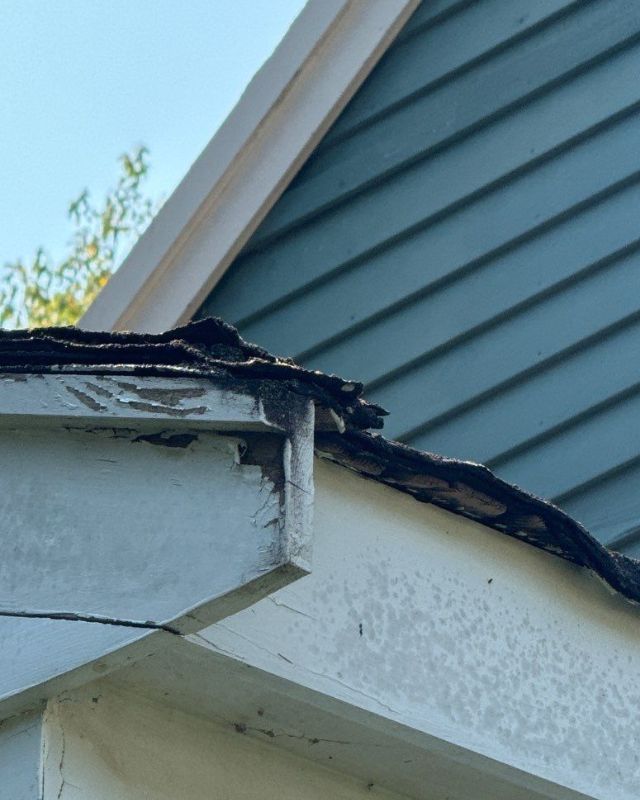 Damaged roof edge with peeling paint on white trim and blue siding.