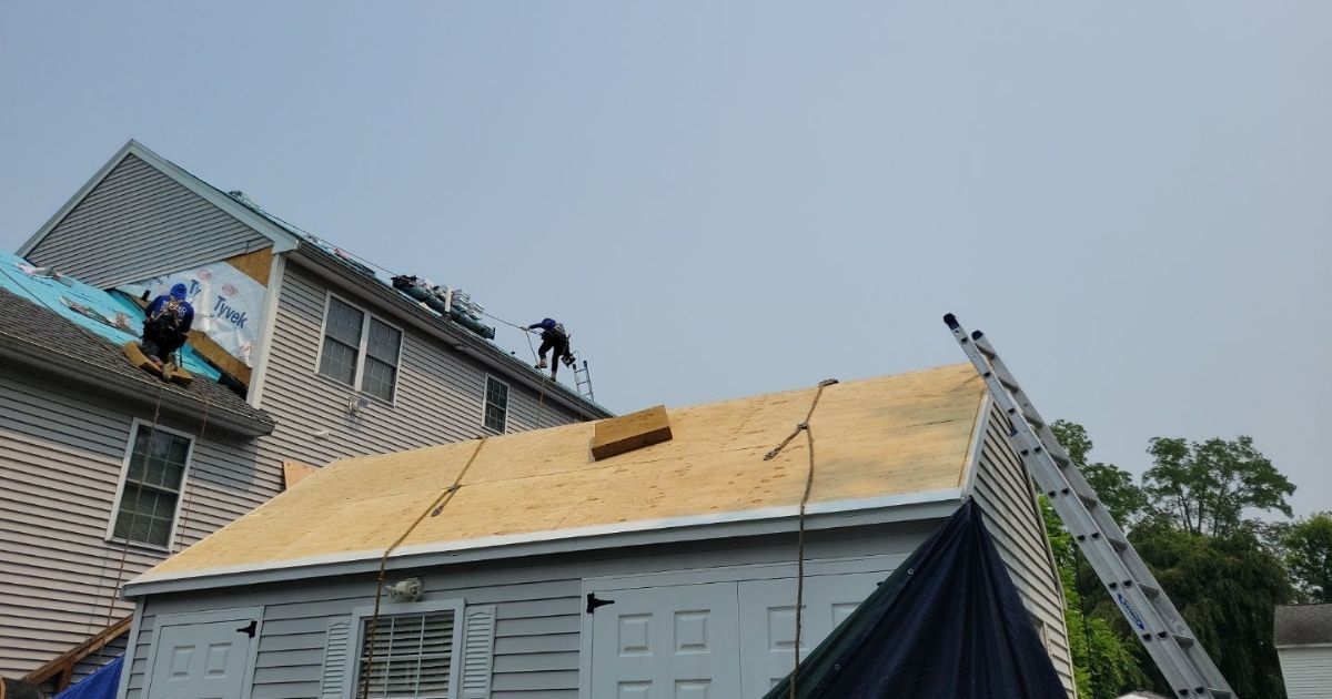Roofers working on a house roof and shed roof. Ladder leaned against the shed. Blue sky.