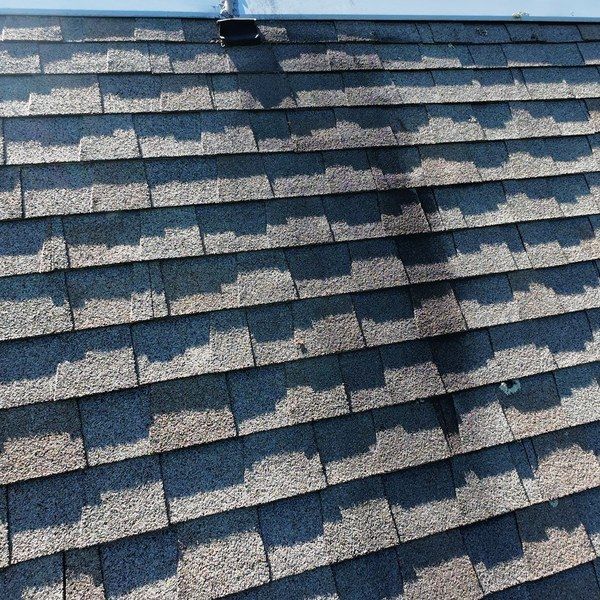 Asphalt shingles with heavy granule loss and exposed asphalt on a Medfield MA roof