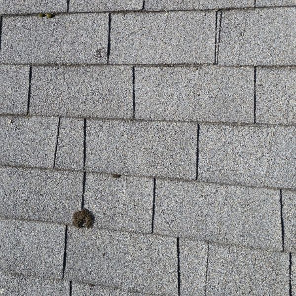 Gray asphalt roof shingles.
