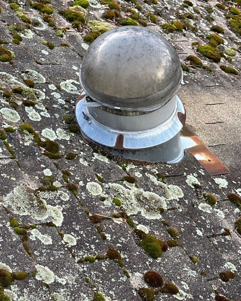 Metal roof vent with moss growth on asphalt shingles.