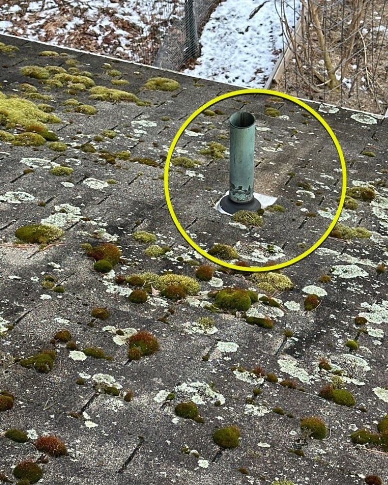 A vent pipe on a moss-covered, weathered asphalt shingle roof.