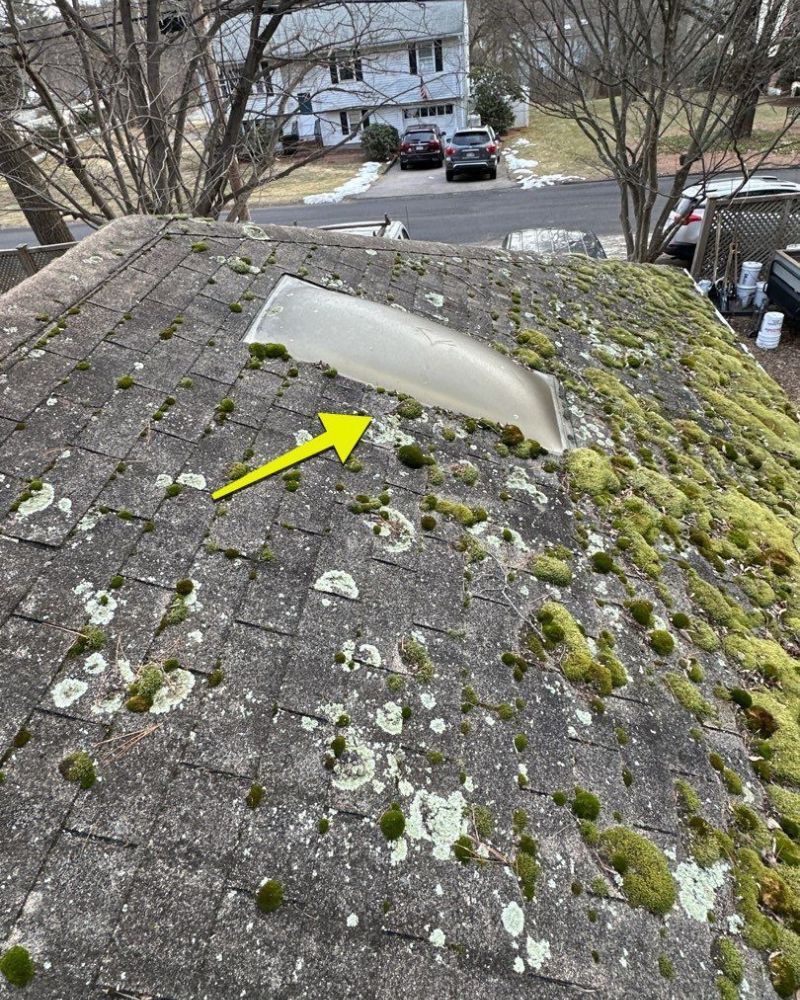 Moss-covered roof with a skylight; arrow points towards the skylight. A house and vehicles are visible in the background.