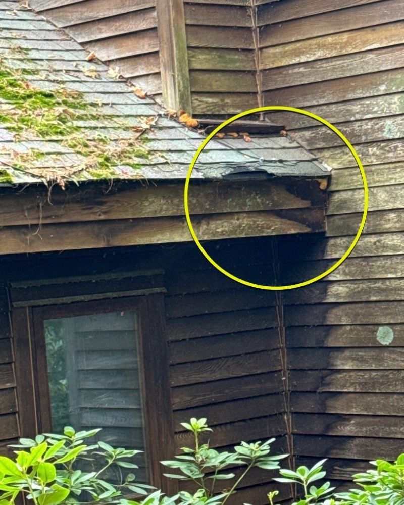 Partially damaged wooden siding and roof corner with a yellow circle highlighting the damage.