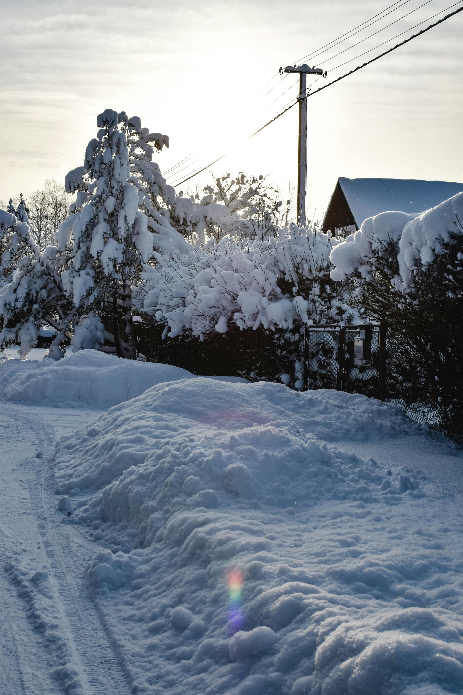 A sunlit, snow-covered landscape with a utility pole, a house roof, and trees heavily laden with fresh, white snow.